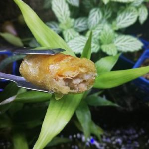 CHẢ RAM TÔM ĐẤT